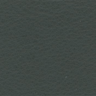 Anthracite - D71179