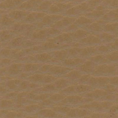 Cappuccino - D32754