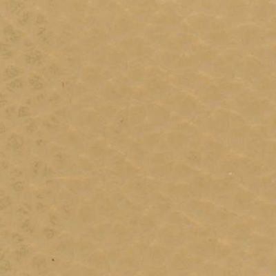 Chamois - D22501