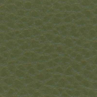 Olive - D50447