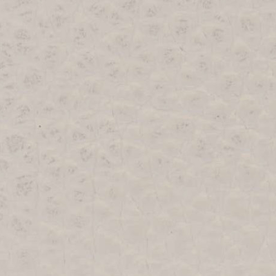 Porcelaine - 1533211