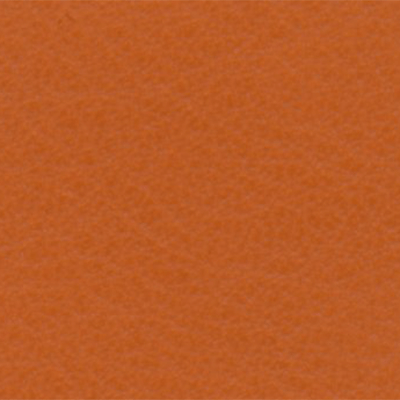 Citrouille - D61533