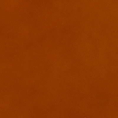 Ecureuil