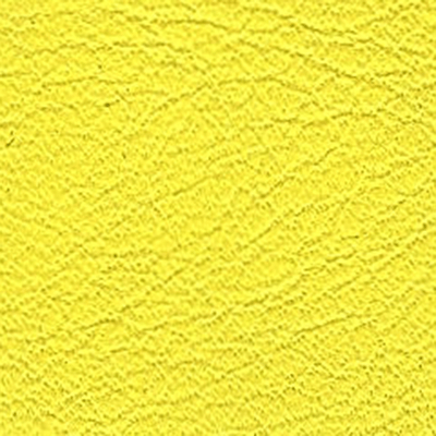 Mimosa
