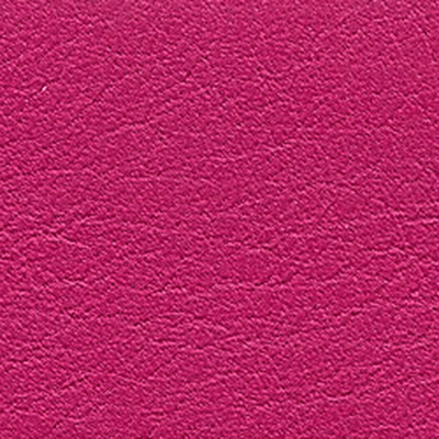 Fushia