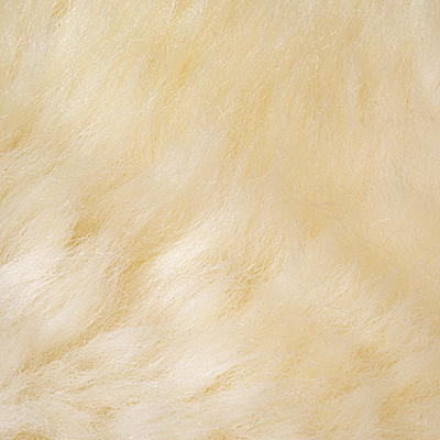 Mouton blanc naturel – Image 2