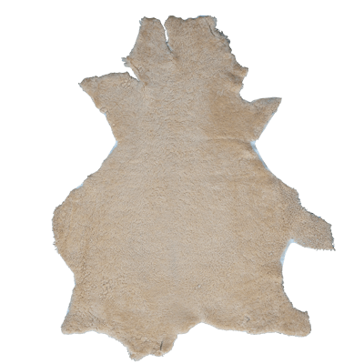Mouton frisé – Image 4