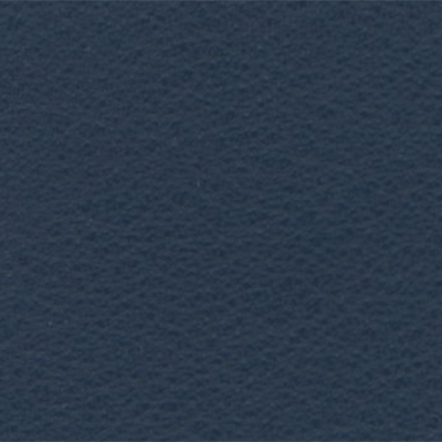 Navy - D80686