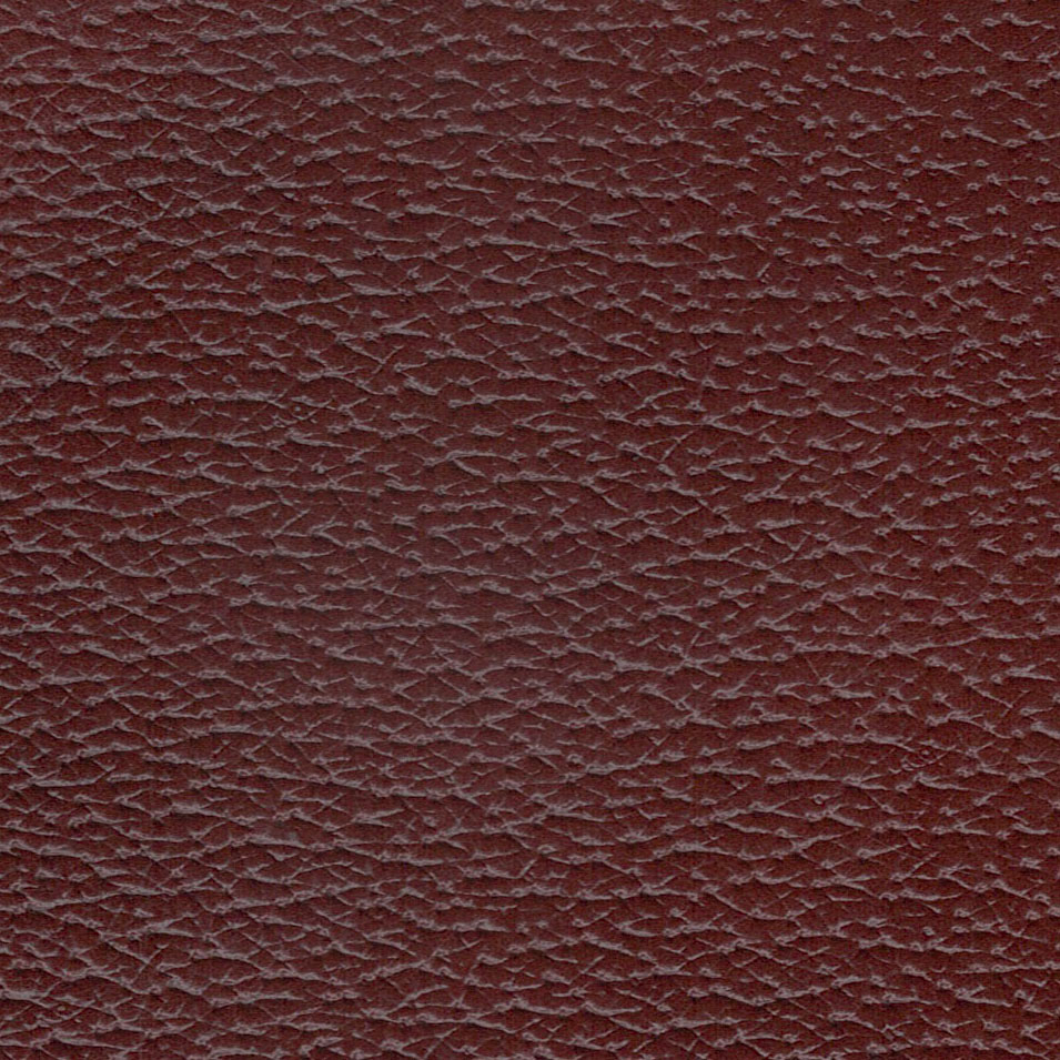 Pécari Mogano – Image 2