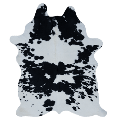 Noir et blanc type breton pie noire – Image 4
