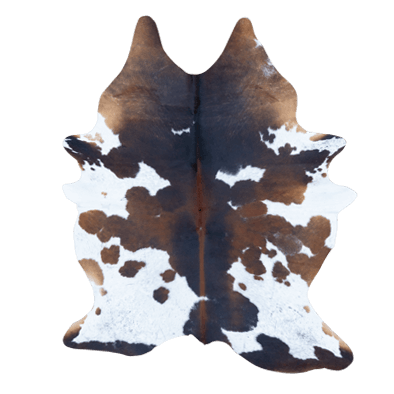 Type normand – Image 5