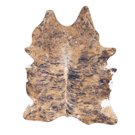 Type Corse tigré – Image 7