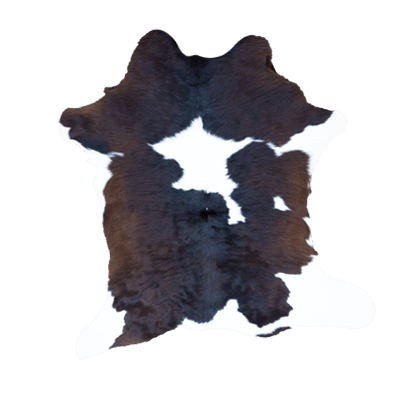 Petit veau – Image 5