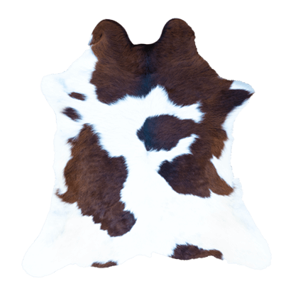 Petit veau – Image 4