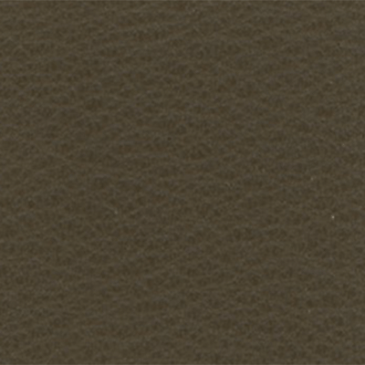 Lichen - D32565