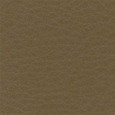 Terre - D32488