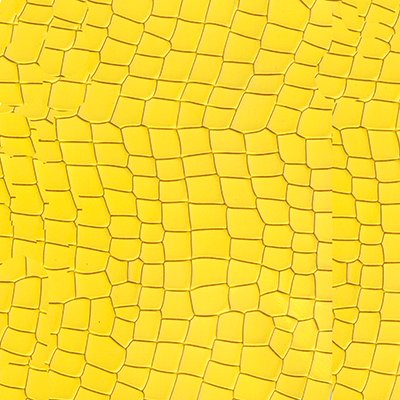Alligator lemon