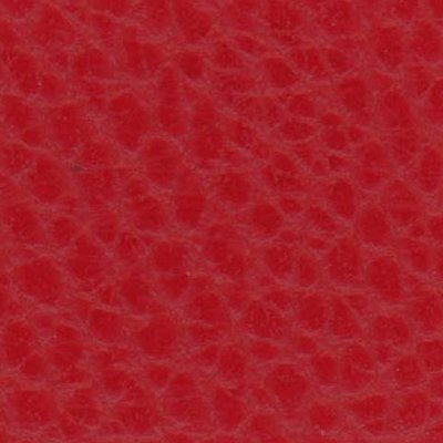 Griotte - D61651