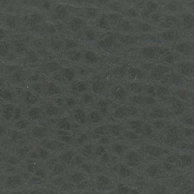 Gris - D71238