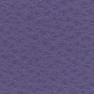 Lilas - 171884