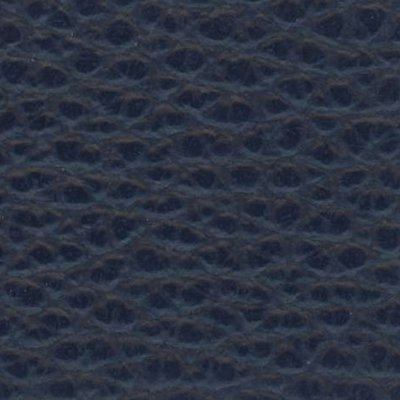 Marine - D80537