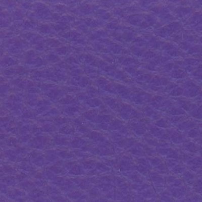 Violet - 171346