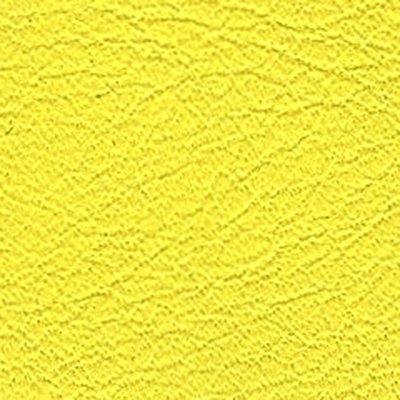 Mimosa