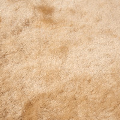 Mouton velours